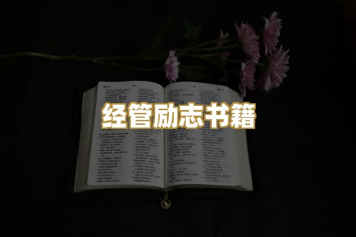 经管励志书籍